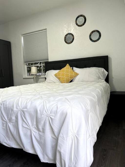 Nice And Cozy Guest House Miami Exterior photo